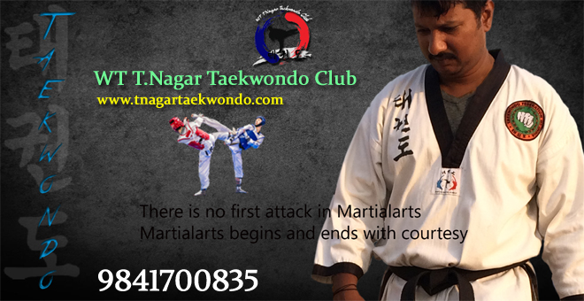 martial arts supplier